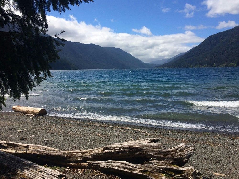 Full Day Olympic National Park Tour from Seattle - Image 4