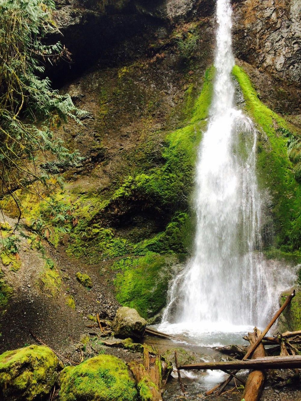 Full Day Olympic National Park Tour from Seattle - Image 5