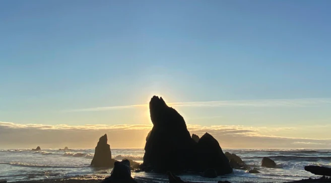 Full Day Olympic National Park Tour from Seattle - Image 9