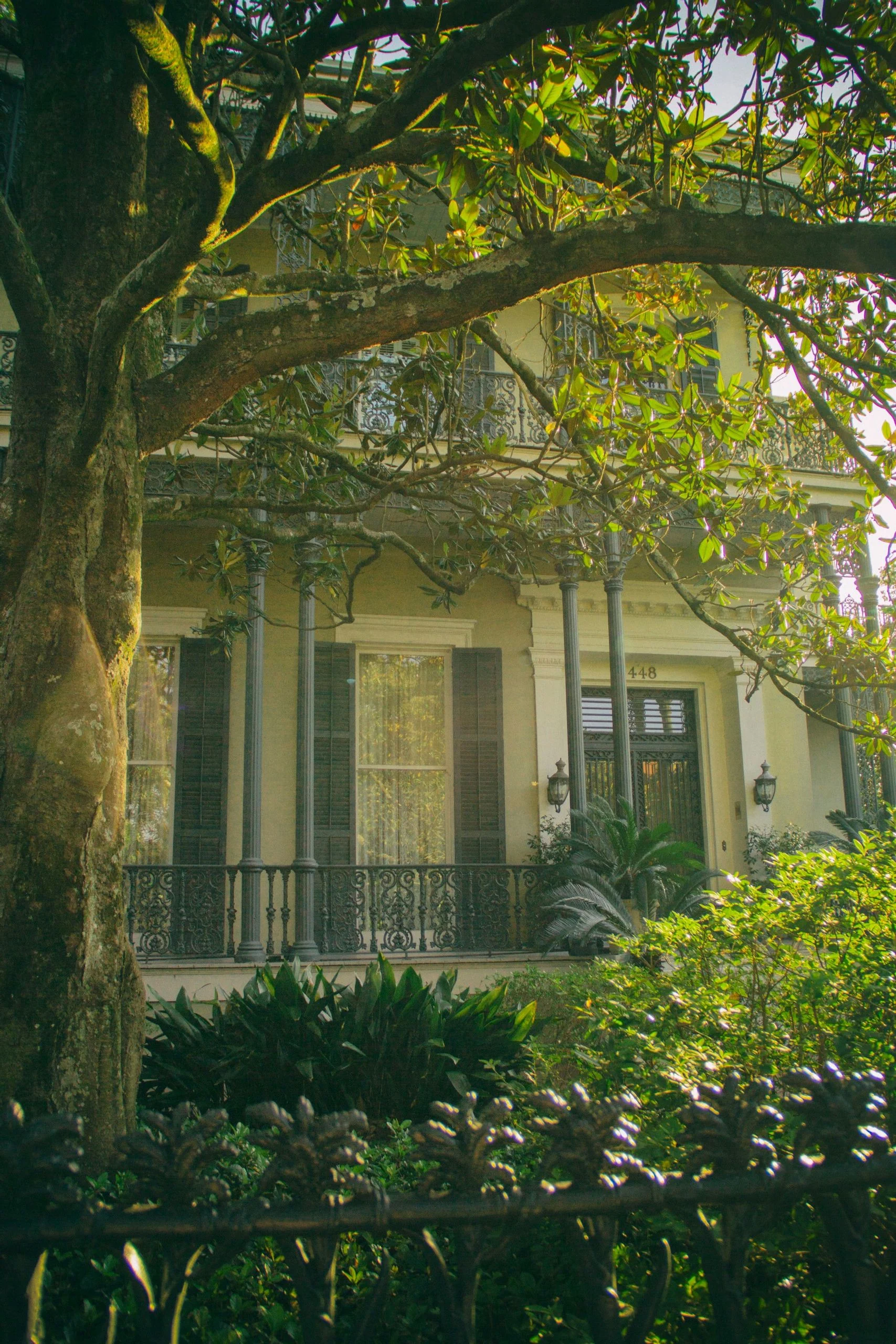 Garden District Secrets & Scandals - Image 5
