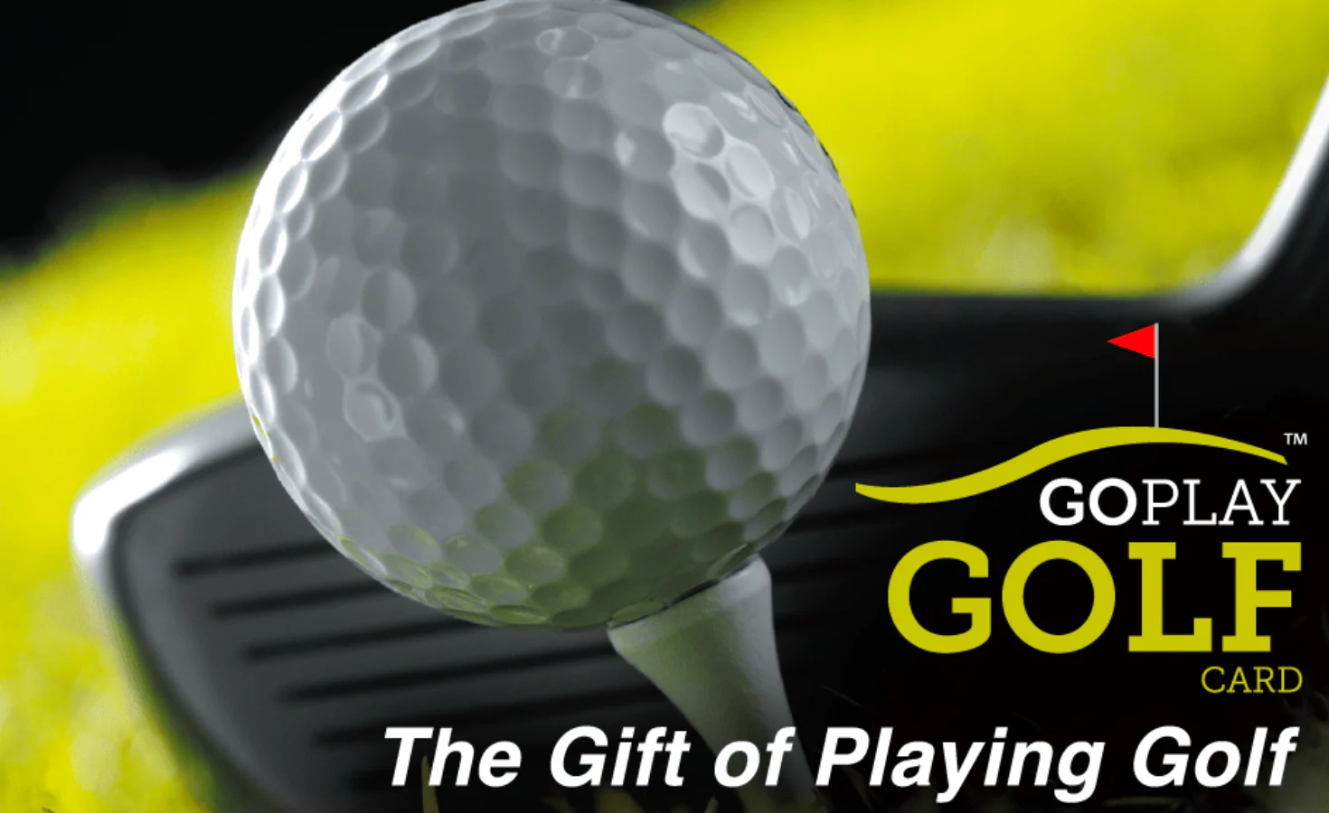 Go Play Golf Gift Card - Image 9