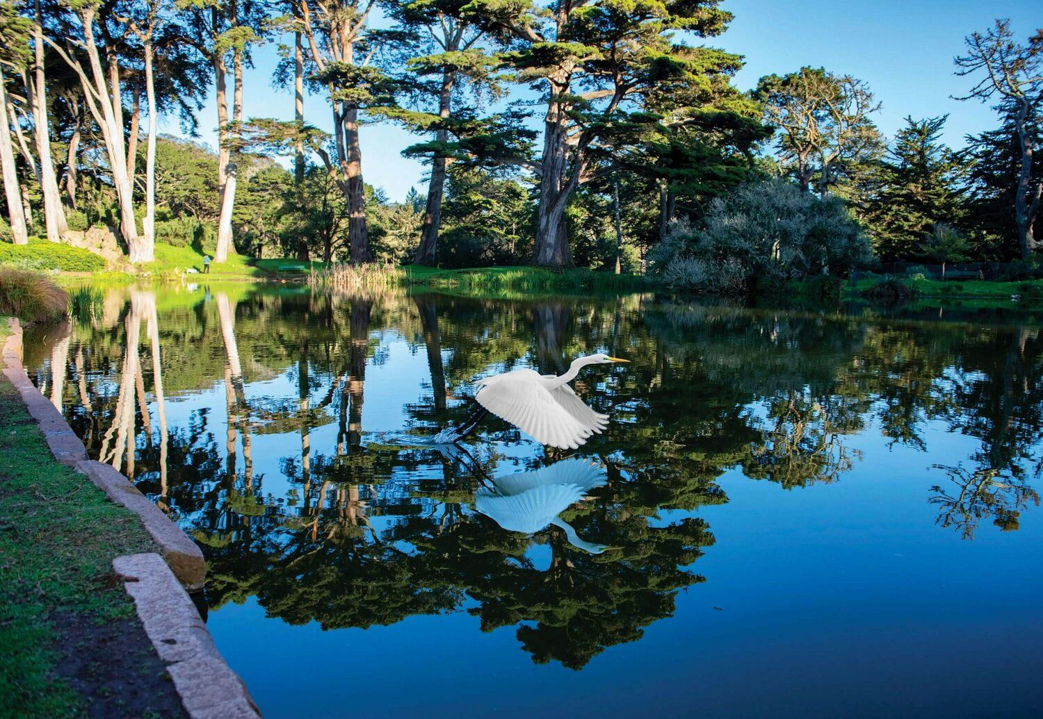 Golden Gate Park Walking Tour - Image 2
