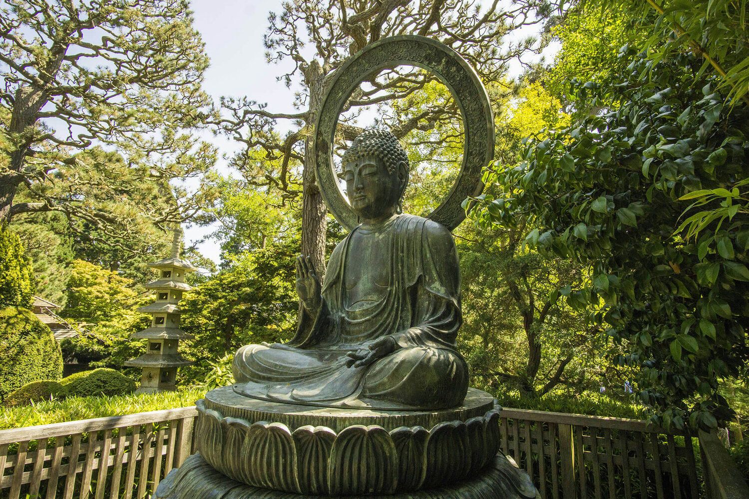 Golden Gate Park Walking Tour - Image 3