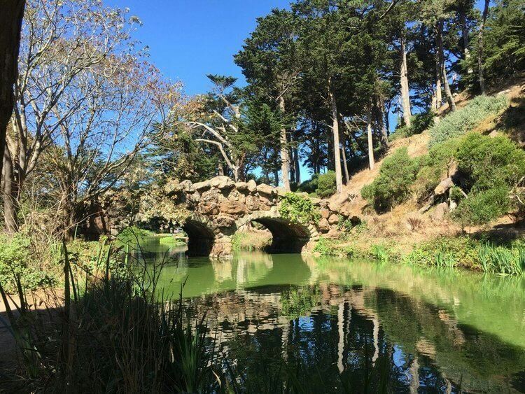 Golden Gate Park Walking Tour - Image 5