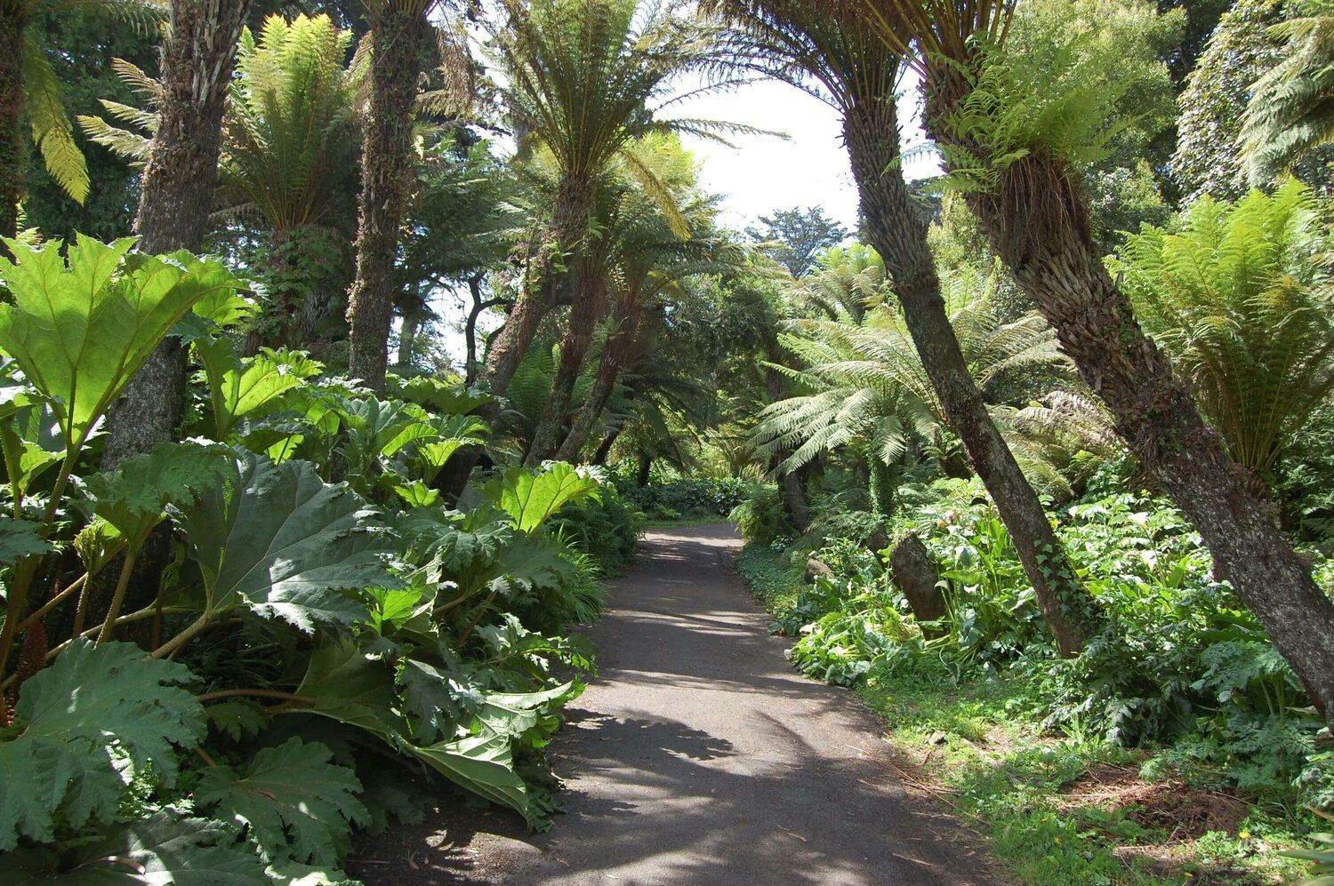 Golden Gate Park Walking Tour - Image 6