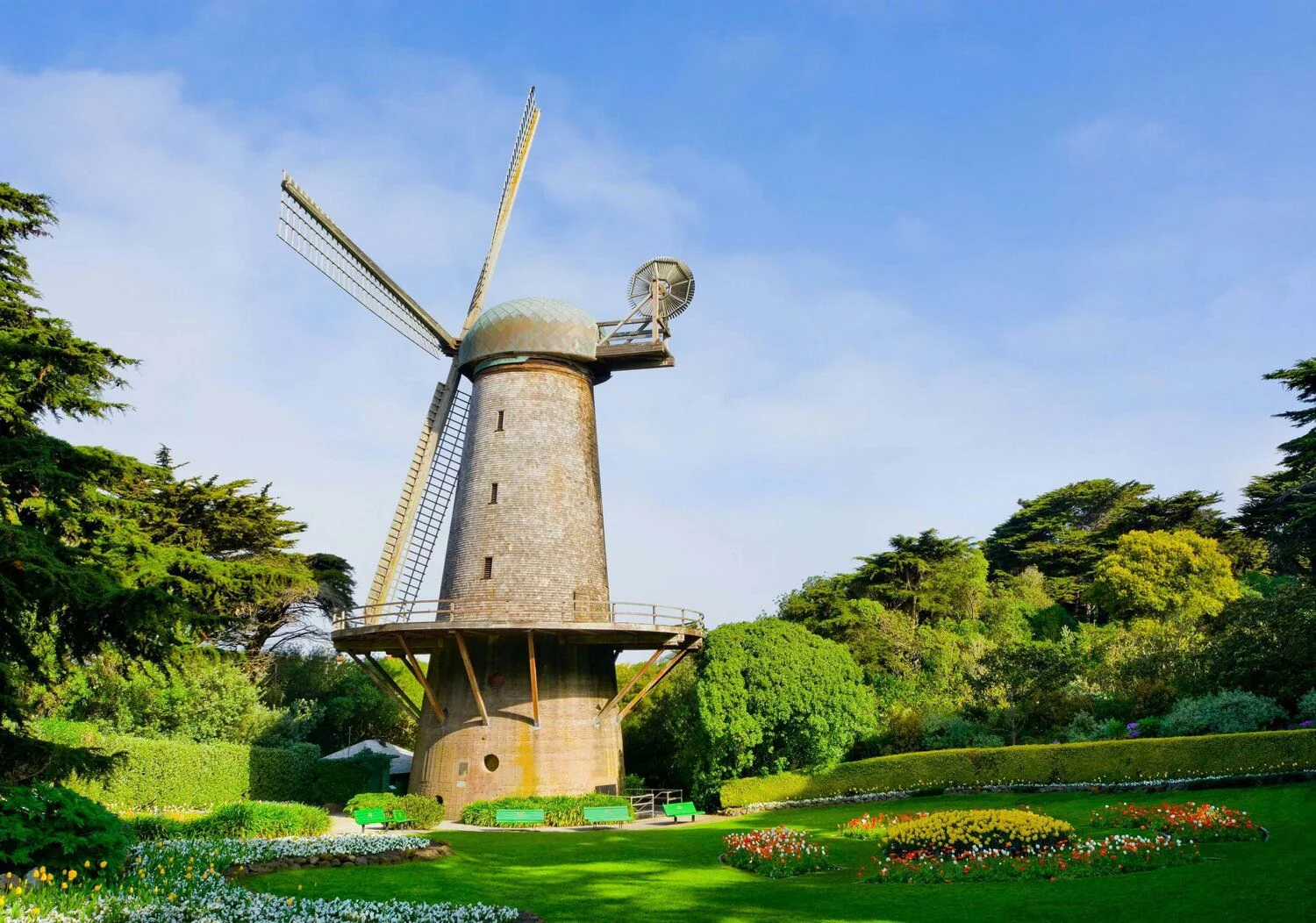 Golden Gate Park Walking Tour - Image 7