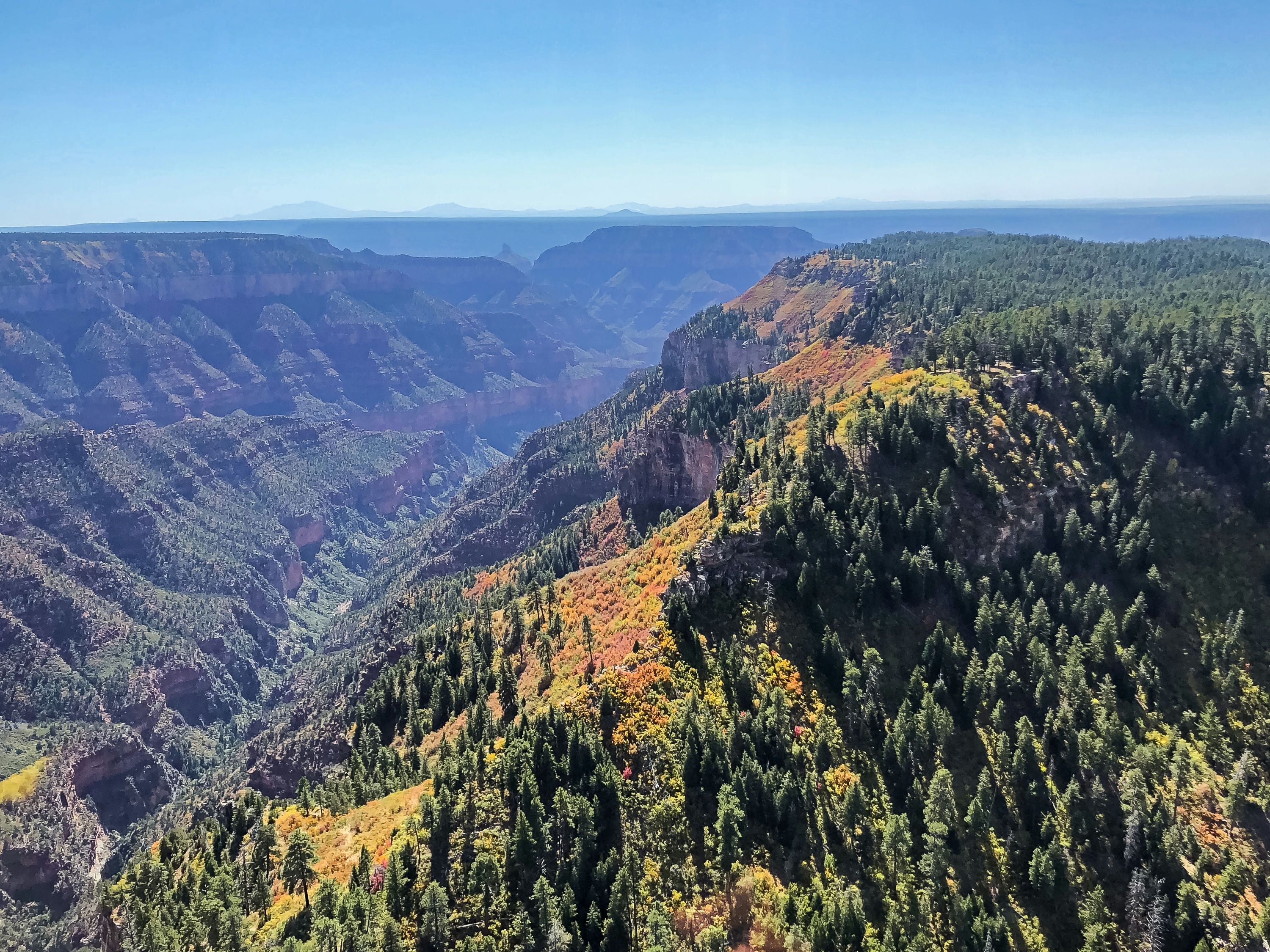 Grand Canyon South Rim Airplane Tour - Image 2