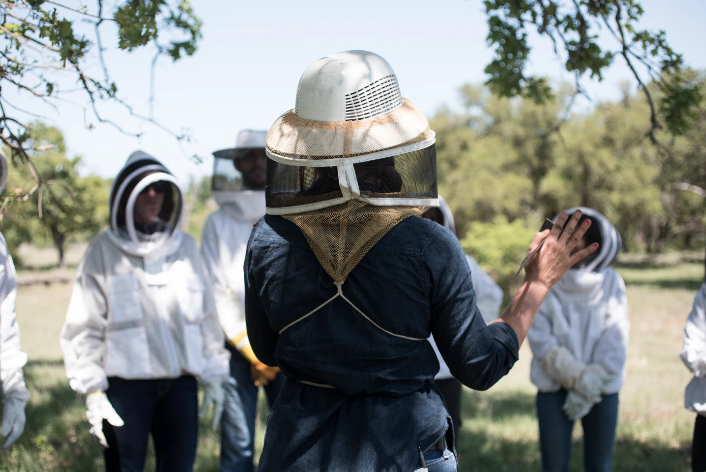 Guided Hands-On Beehive Tour by Professional Beekeeper