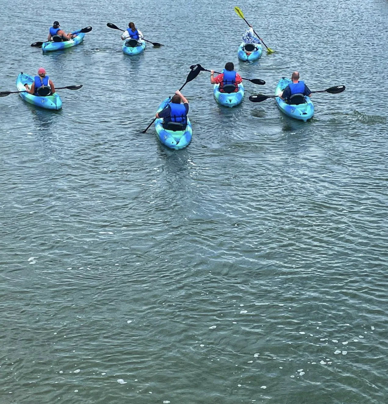 Guided Hilton Head Kayak Adventure - Image 4