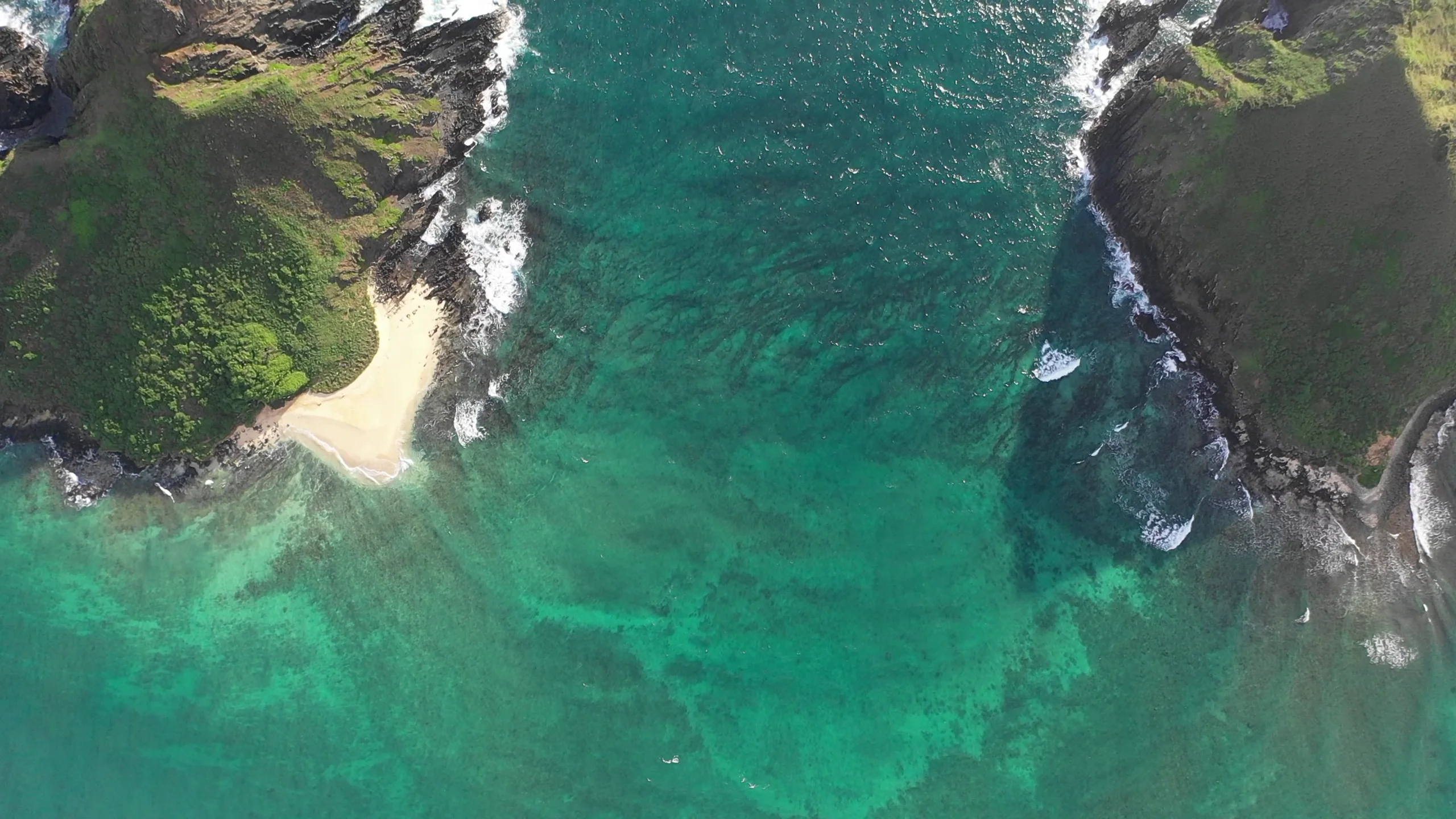 Guided Mokulua Islands Kayak Tour & E-Bike Adventure - Image 5