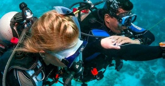 Half Day Discover Scuba Diving Course - Pool and Beach Dive - Image 4