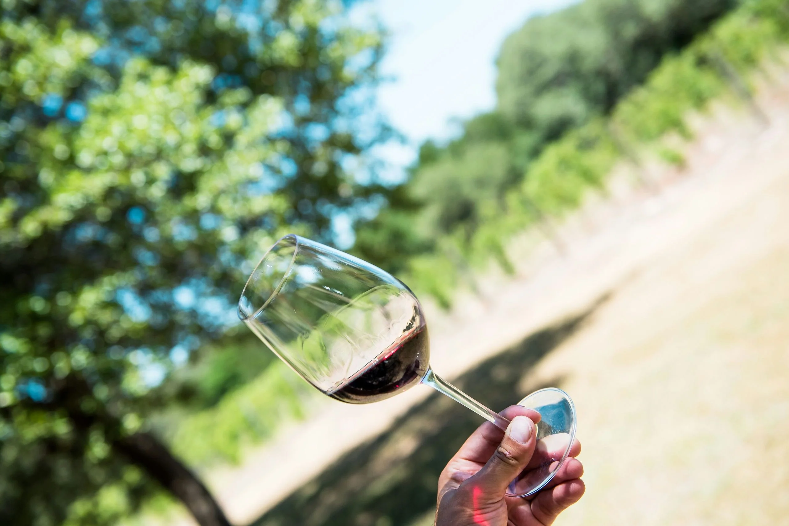 Half-Day Hill Country Wine Shuttle with BYOB - Image 2