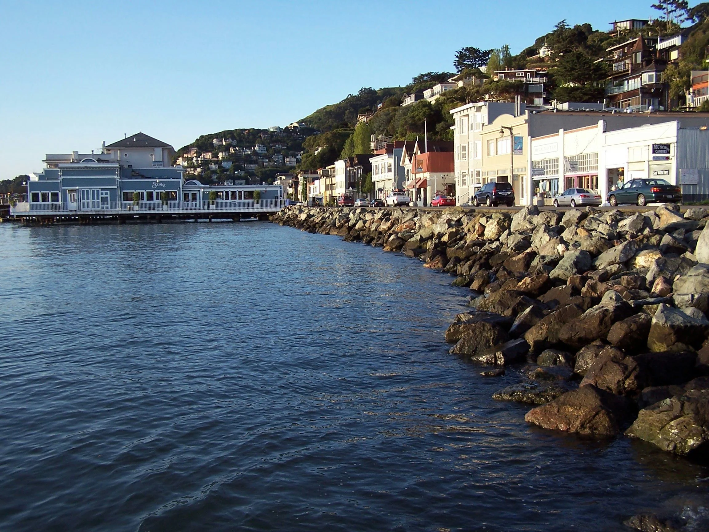 Half Day Muir Woods & Sausalito Tour from San Francisco - Image 2