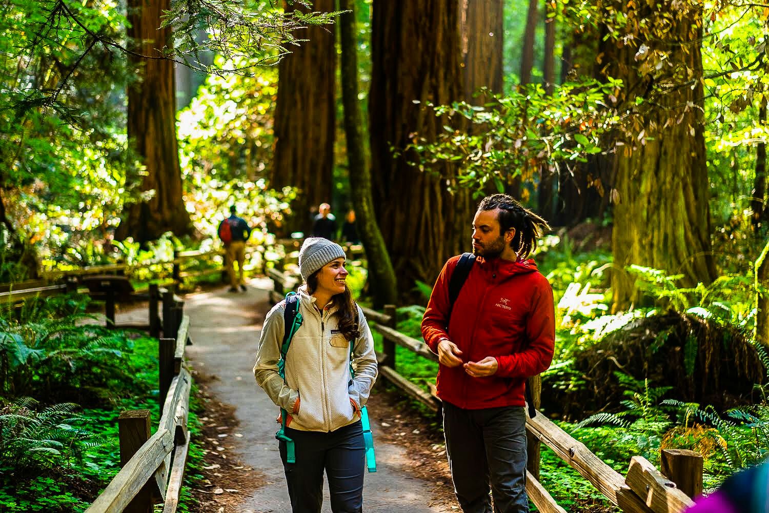 Half Day Muir Woods & Sausalito Tour from San Francisco - Image 3