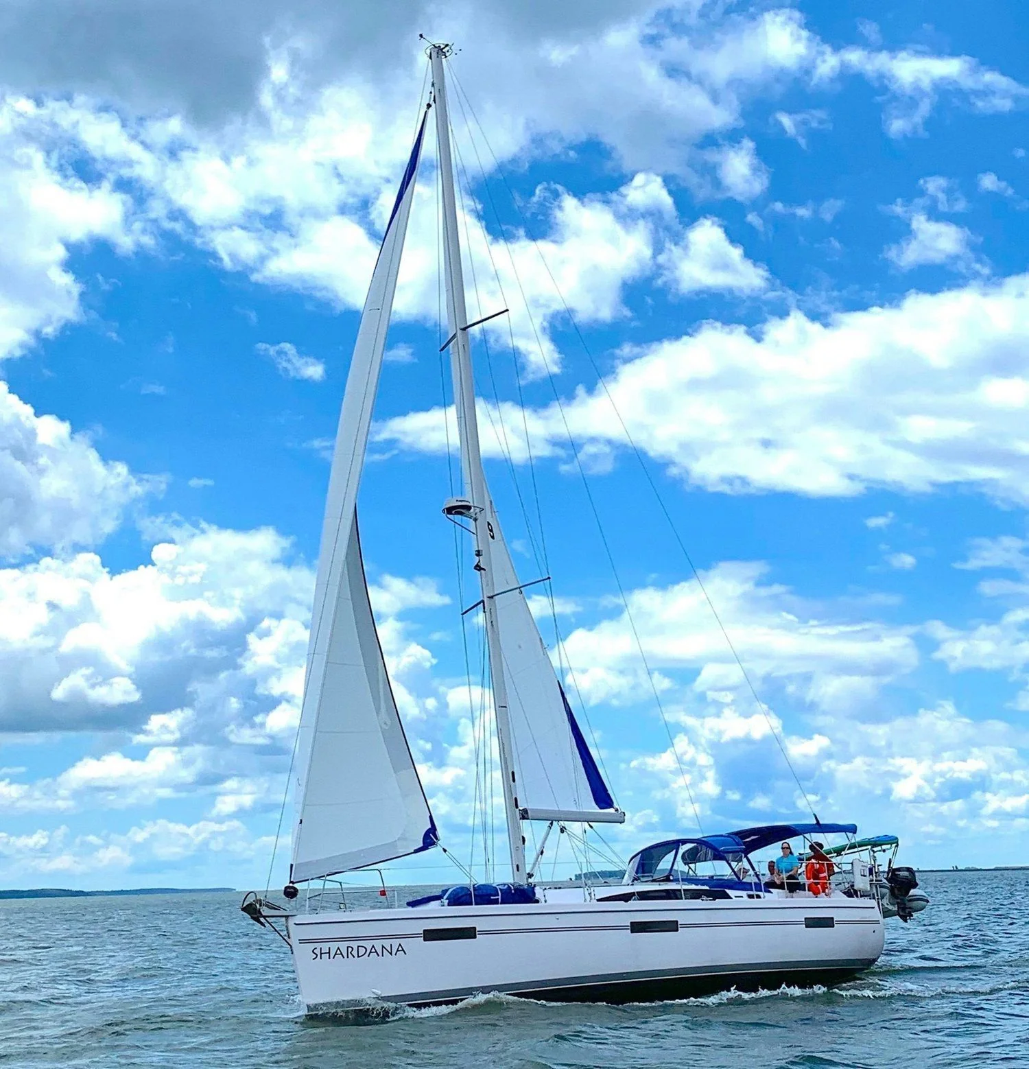 Half Day Sailing Charter on the Chesapeake Bay for up to 6 - Image 2
