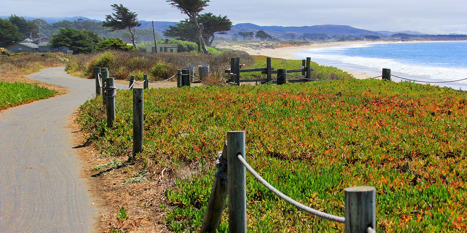 Half Moon Bay Mystery Picnic Date for Two - Image 3