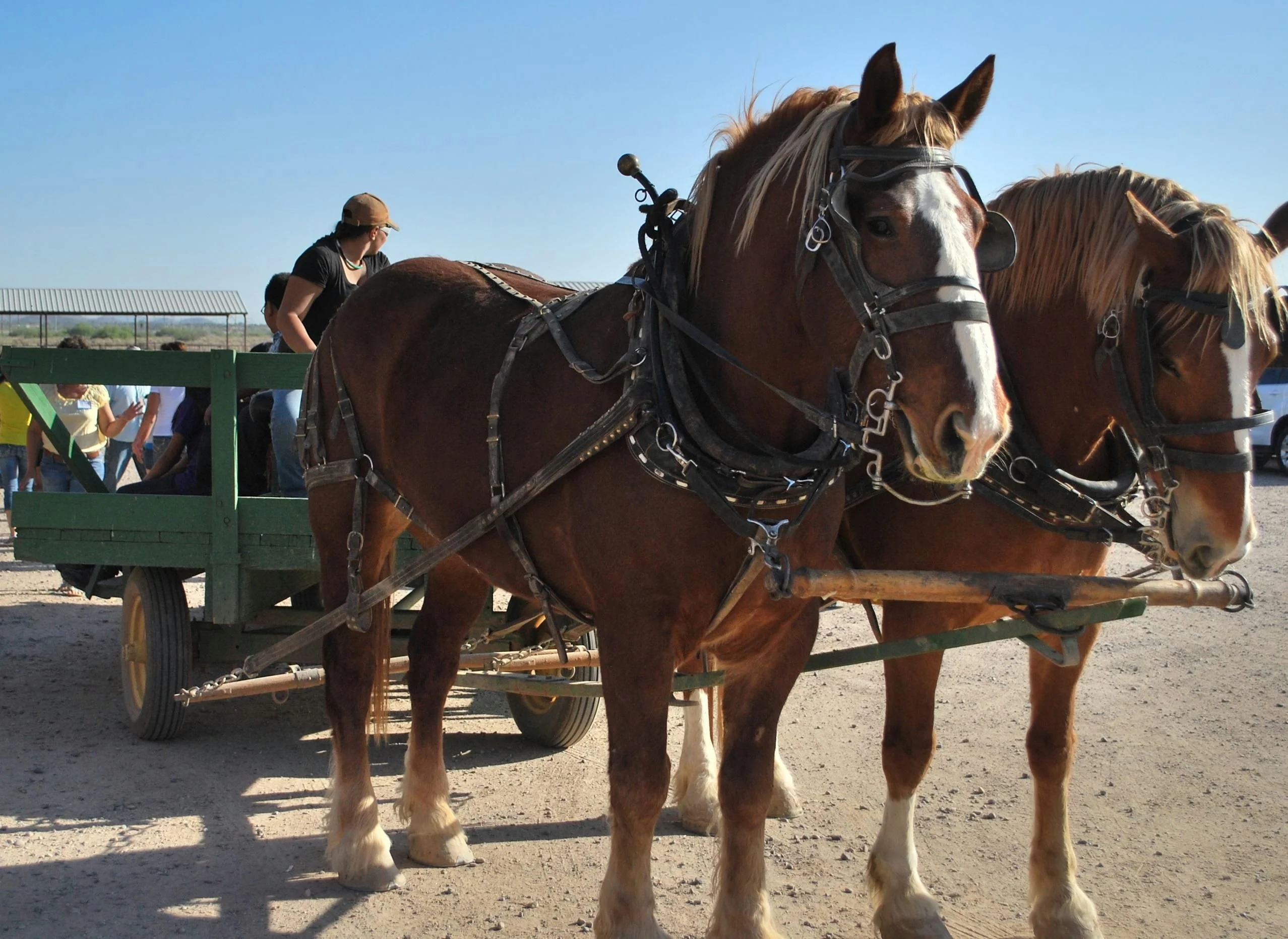 Hay Wagon Ride