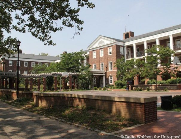 Discover the Hidden Gems of Governors Island - Image 5