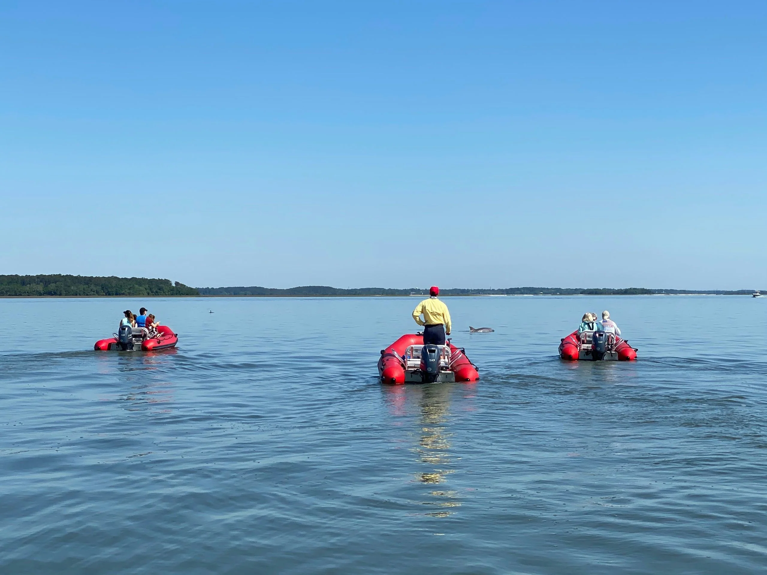 Hilton Head Dolphin Excursion by Mini Boat - Image 3