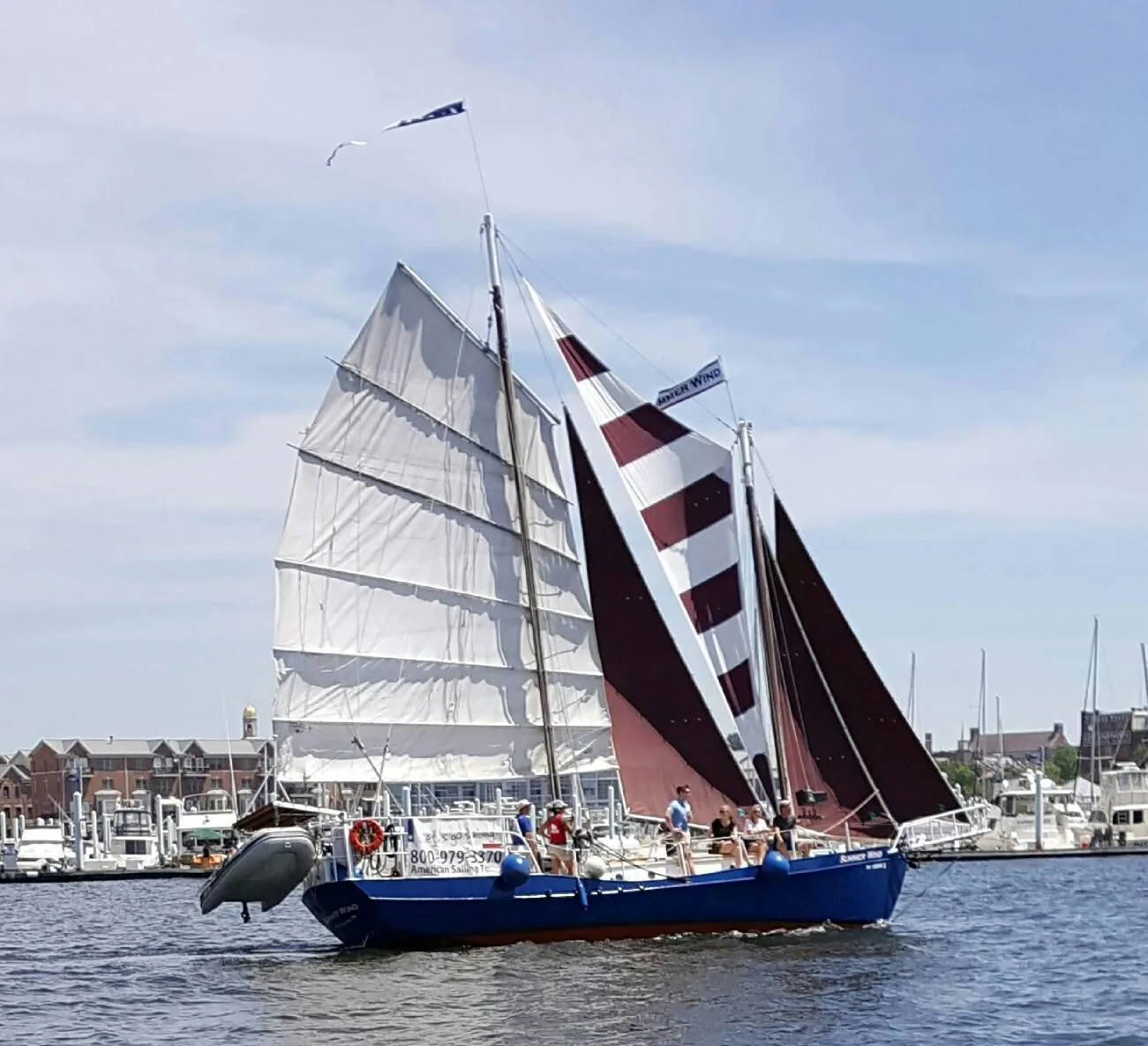 History Sail on Summer Wind - Image 3