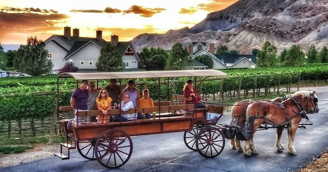 Horse-Drawn Sunset Tour in Palisade - Image 3