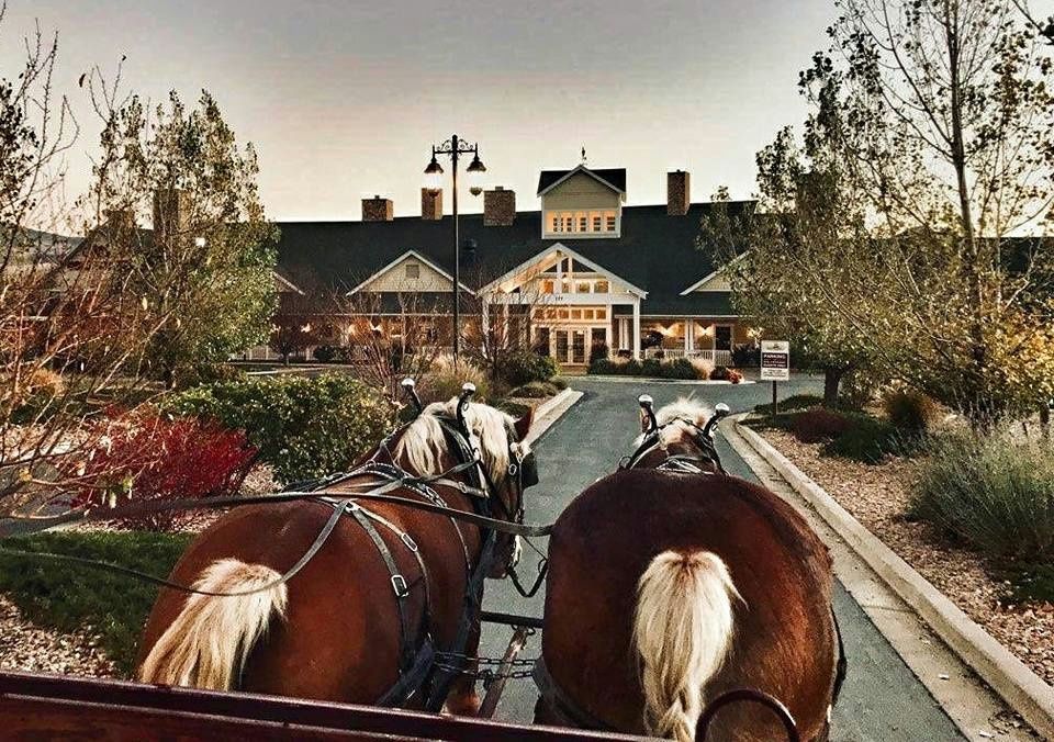 Horse-Drawn Wine Tour in Palisade - Image 2