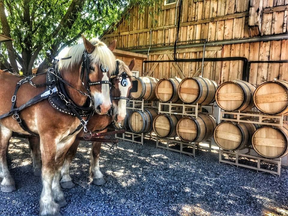 Horse-Drawn Wine Tour in Palisade - Image 4