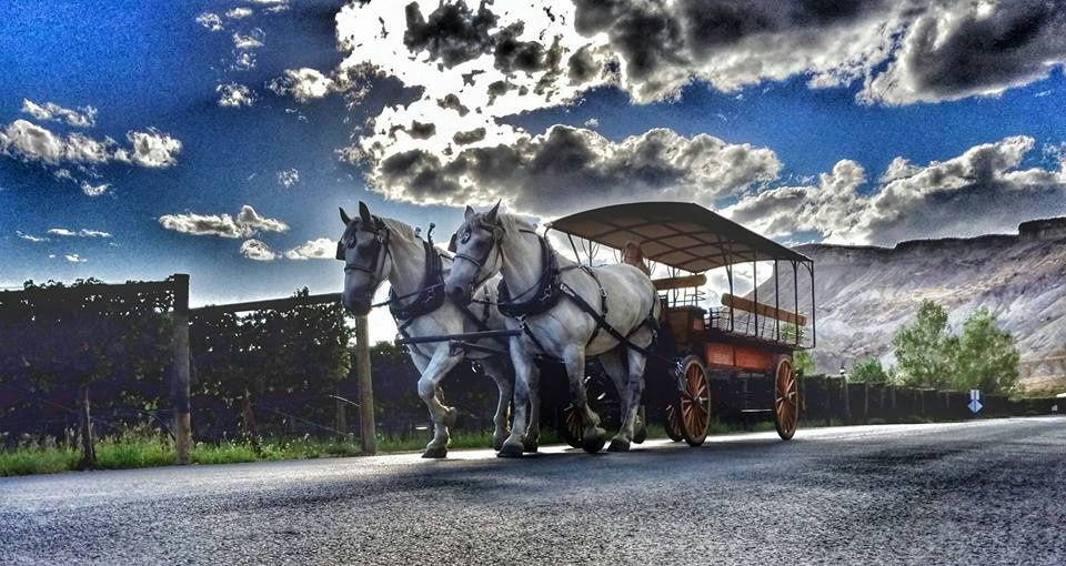 Horse-Drawn Wine Tour in Palisade - Image 5