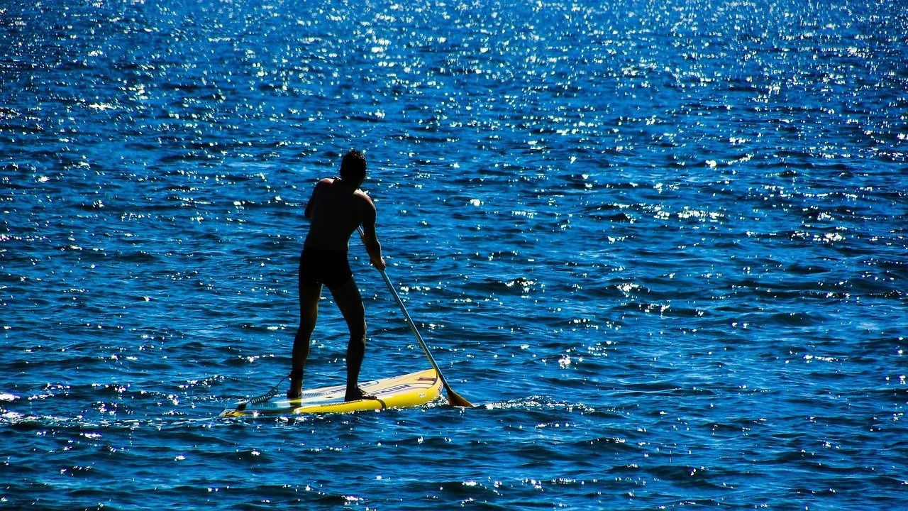 Houston Two Hour Stand-Up Paddle Board Rental