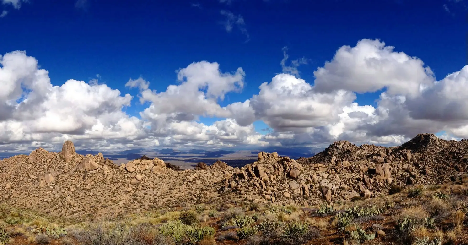 Iconic Tom's Thumb Hiking Adventure in Scottsdale - Image 2