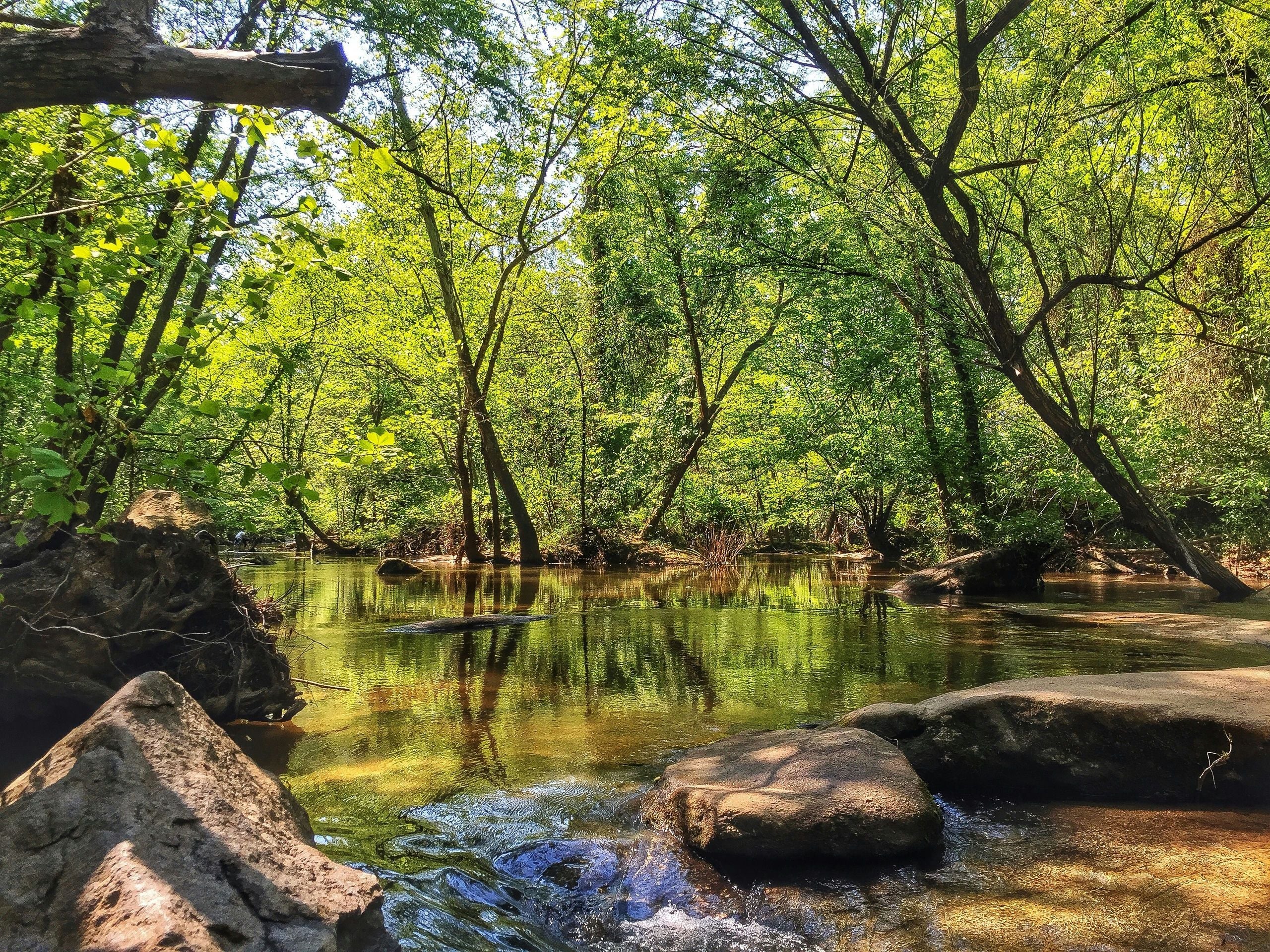 James River Hiking Tour - Image 4