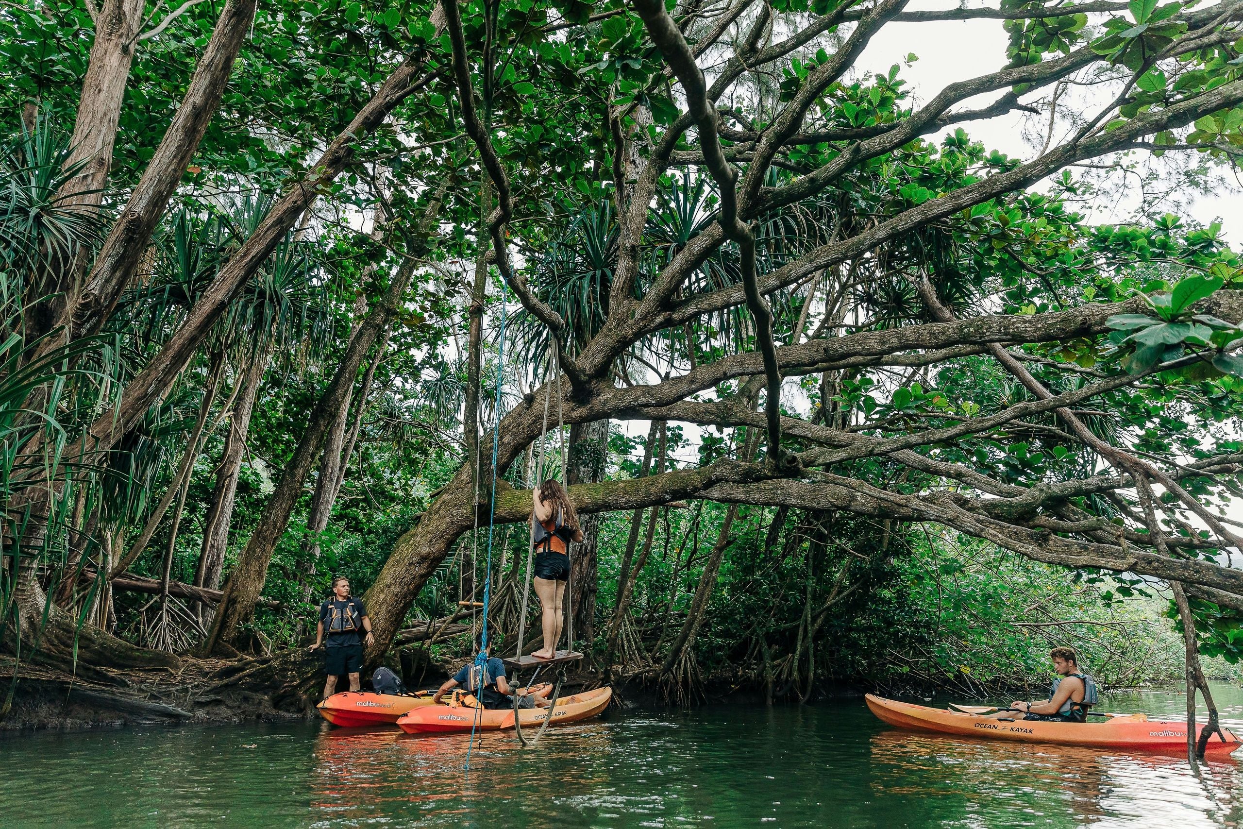 Kahana Rainforest River Kayak Rental - Image 10