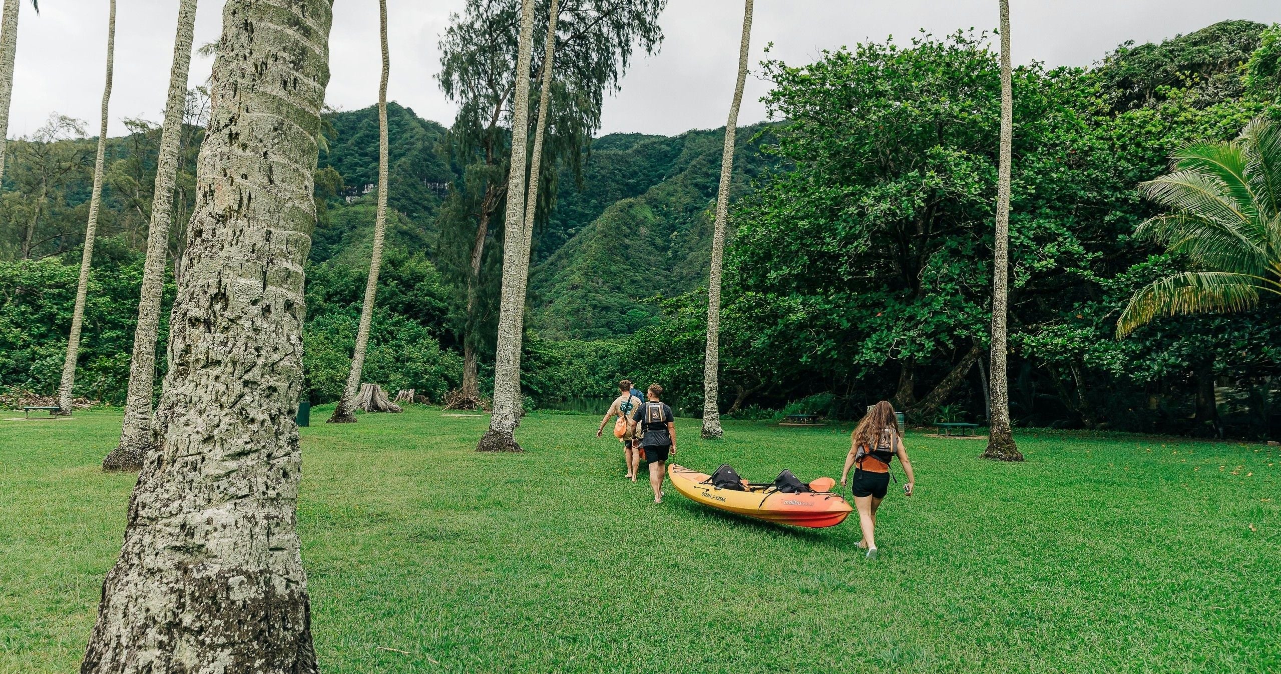 Kahana Rainforest River Kayak Rental - Image 2