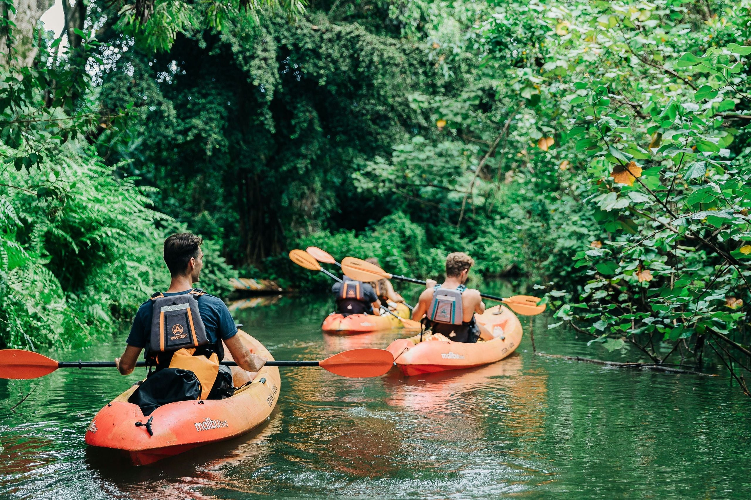 Kahana Rainforest River Kayak Rental - Image 4