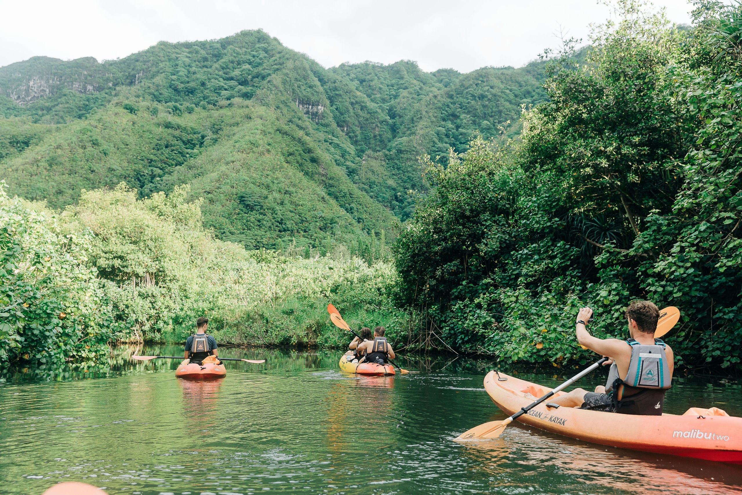 Kahana Rainforest River Kayak Rental - Image 5