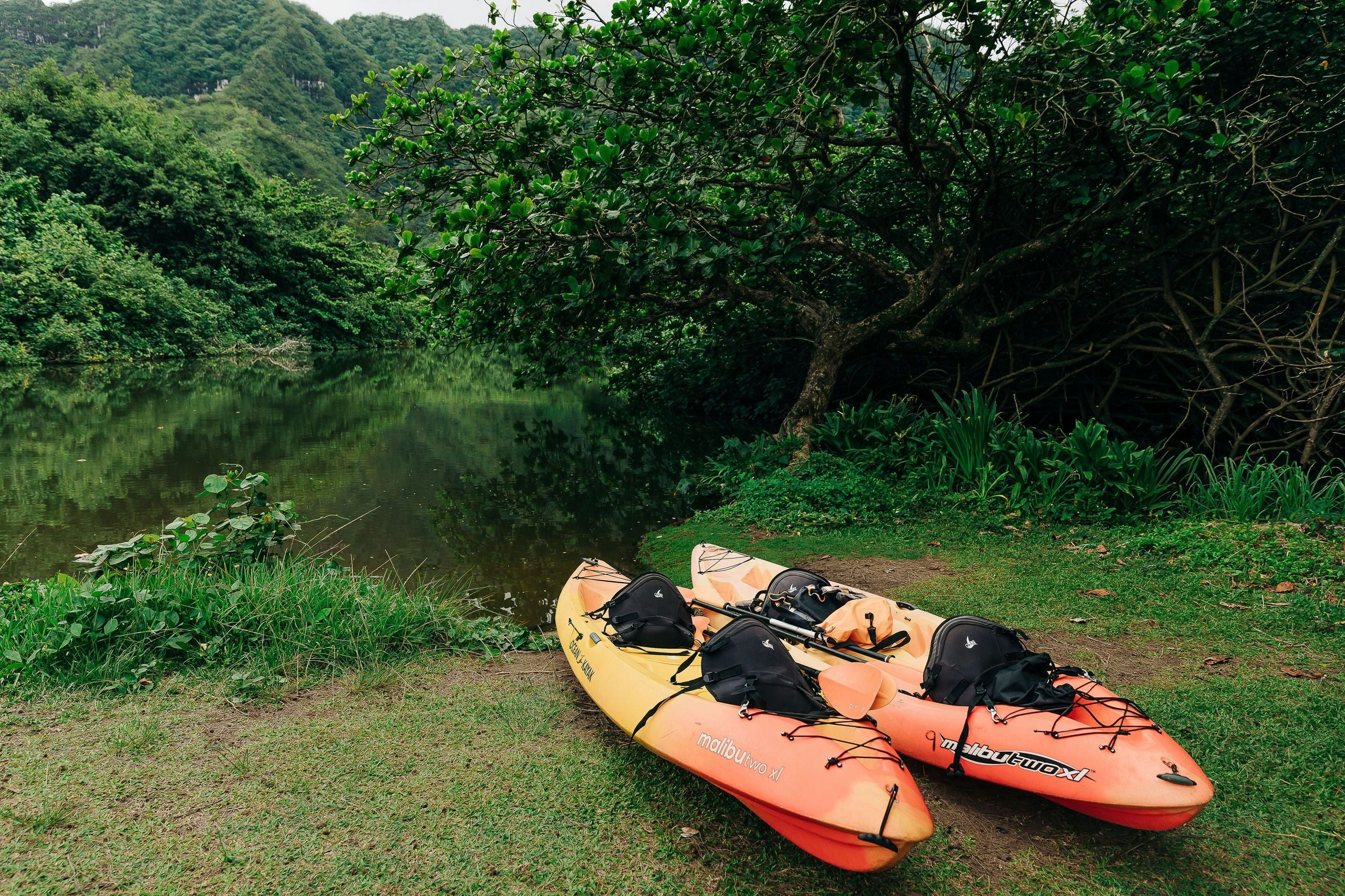 Kahana Rainforest River Kayak Rental - Image 6