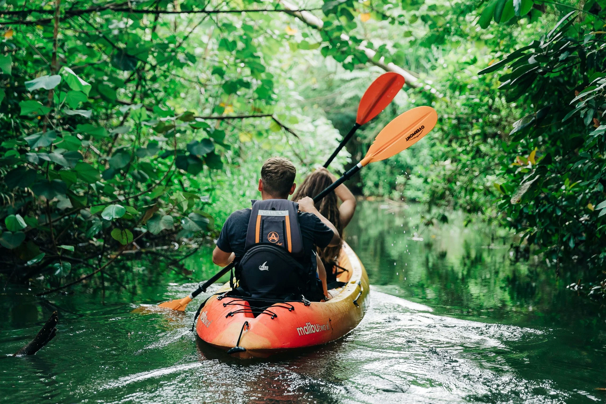 Kahana Rainforest River Kayak Rental - Image 9