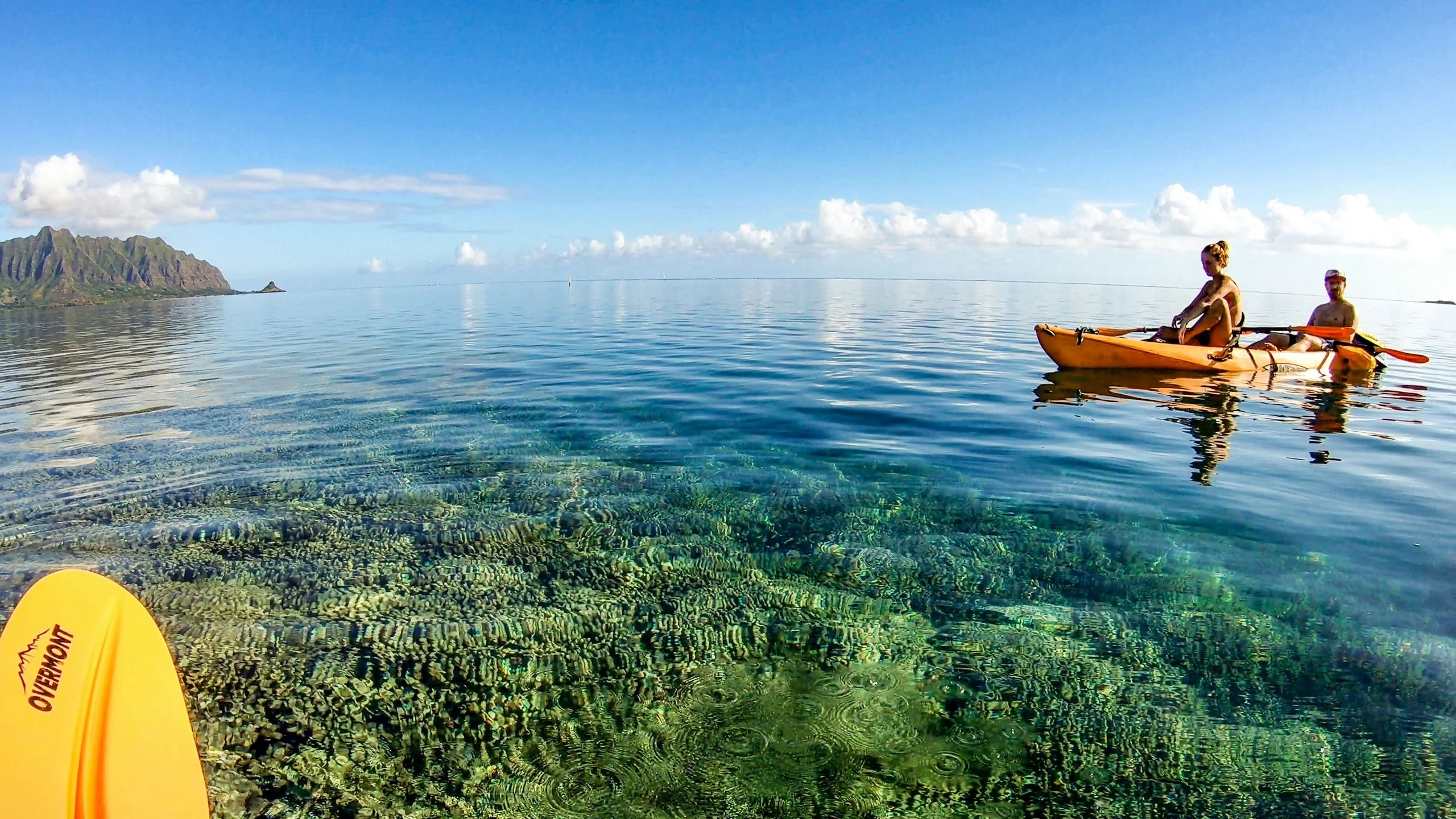 Kaneohe Bay Coral Reef Self-Guided Kayaking Adventure - Image 4