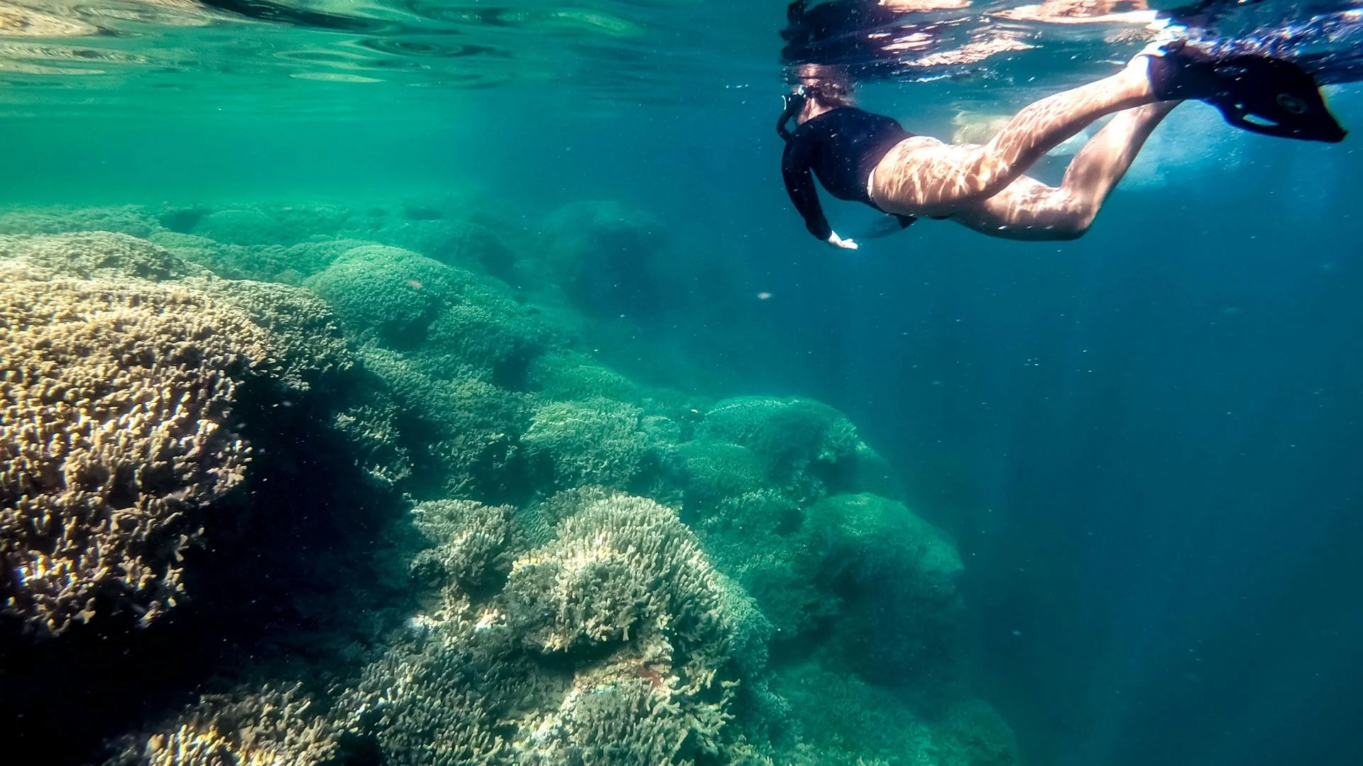Kaneohe Bay Coral Reef Self-Guided Kayaking Adventure - Image 5