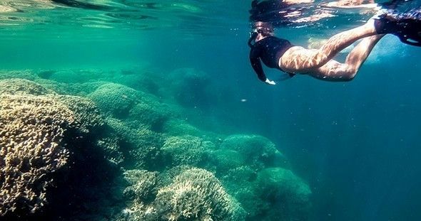 Kaneohe Bay Sandbar Self-Guided Kayak Experience - Image 4