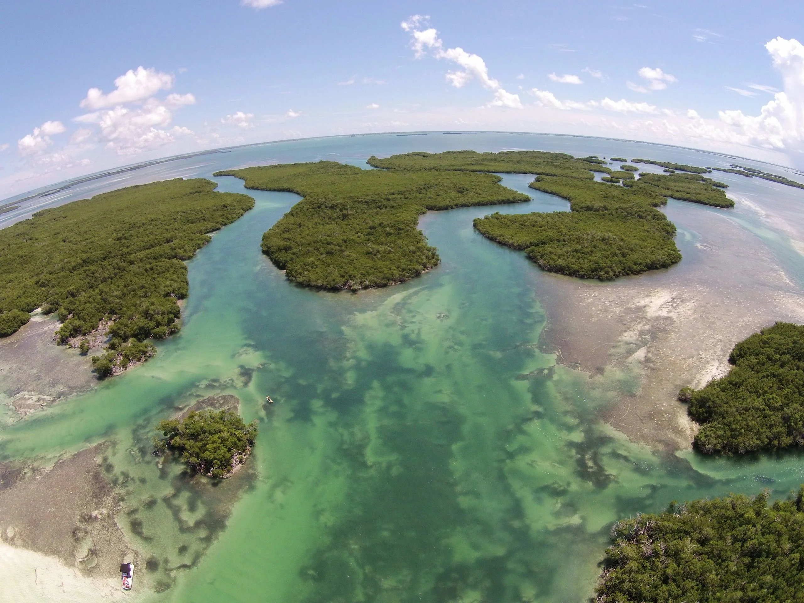 Key West Eco and Marine Life Helicopter Tour - Image 2