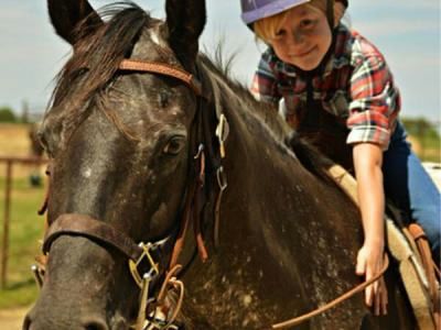 Kids Pony Ride - Image 5