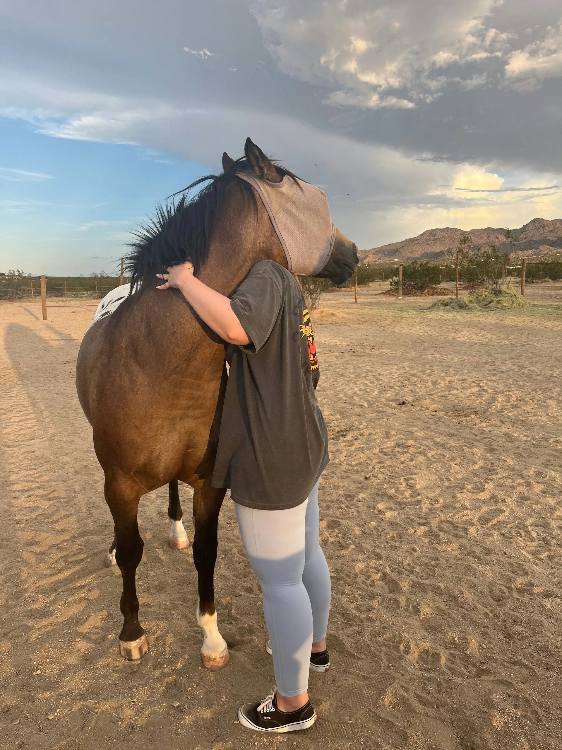 Kids Pony Ride in Joshua Tree - Image 2
