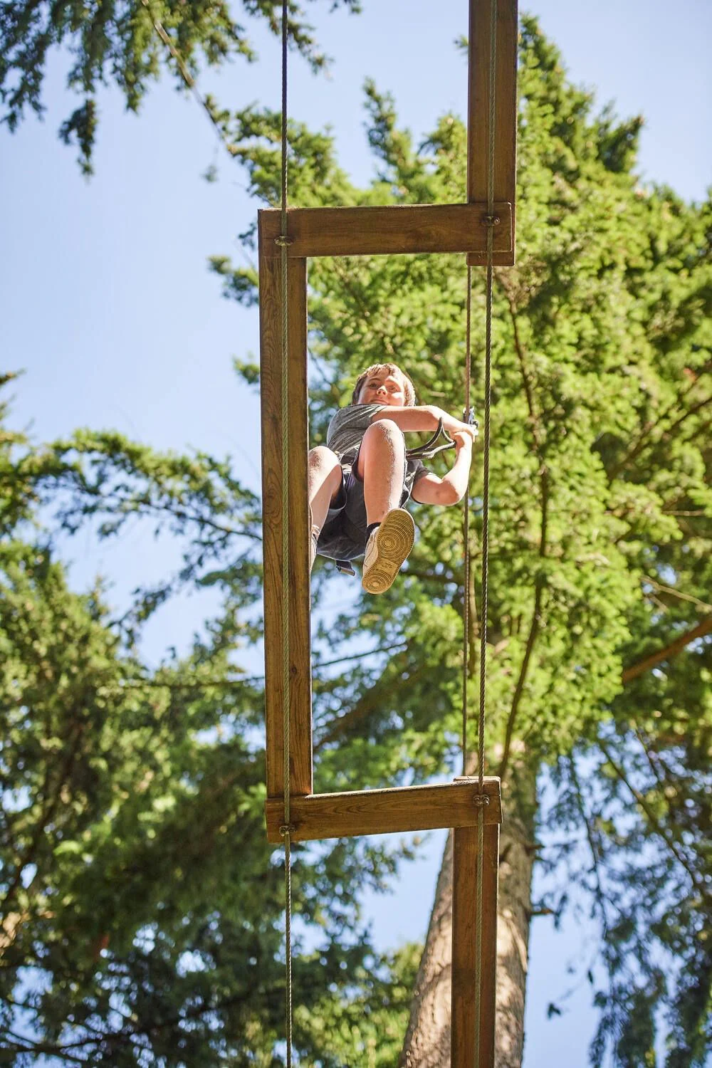 Delaware Kids Treetop Journey with Go Ape - Image 2