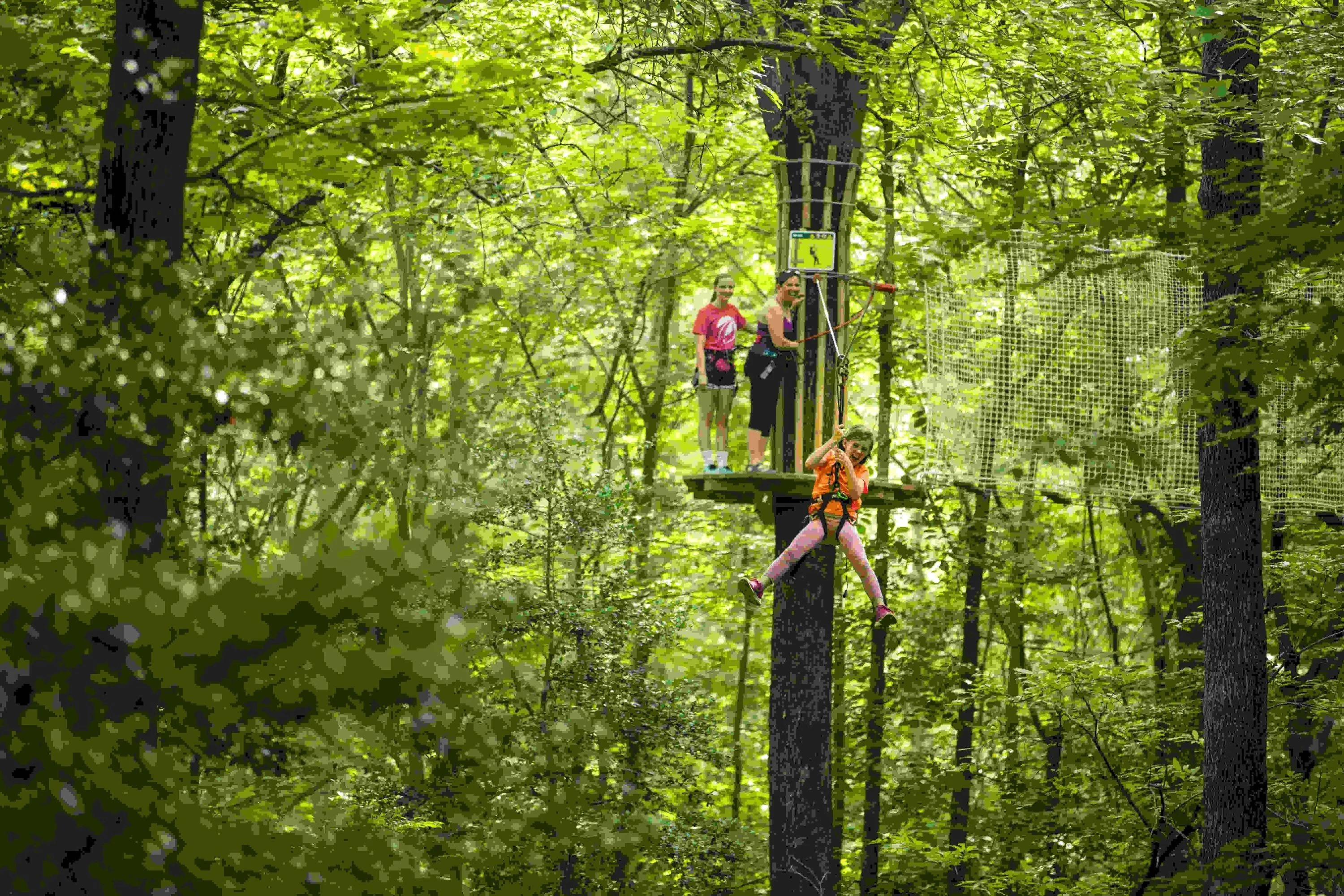 Springfield Kids Treetop Journey with Go Ape - Image 3