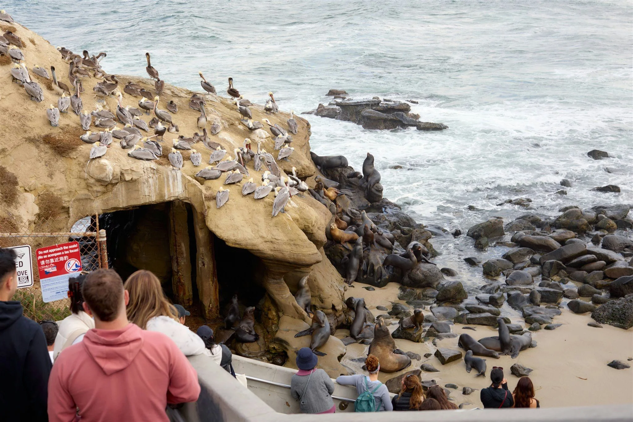 Local Flavors of La Jolla Food & Drink Tour - Image 5