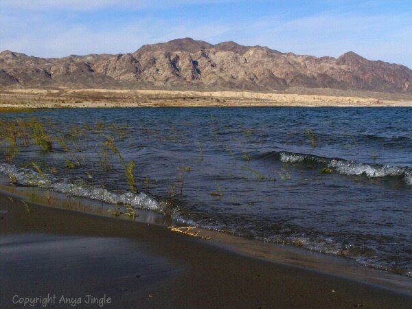 Lake Mead Sunset Paddleboard Picnic Adventure - Image 5