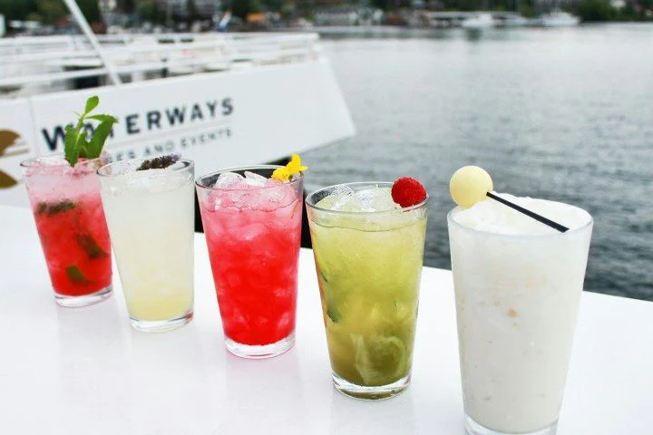 Lake Union Happy Hour Sunset Cruise