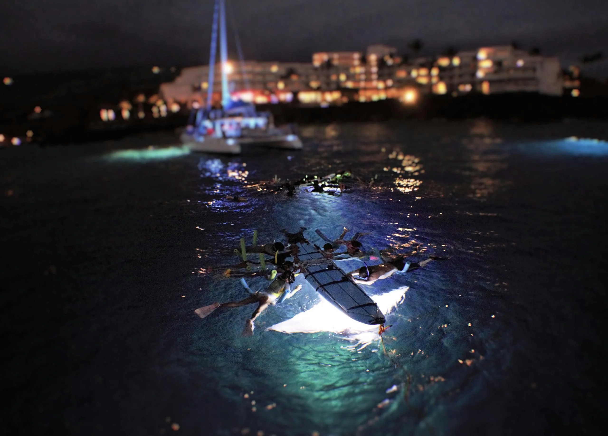 Late Night Manta Ray Snorkel - Image 2