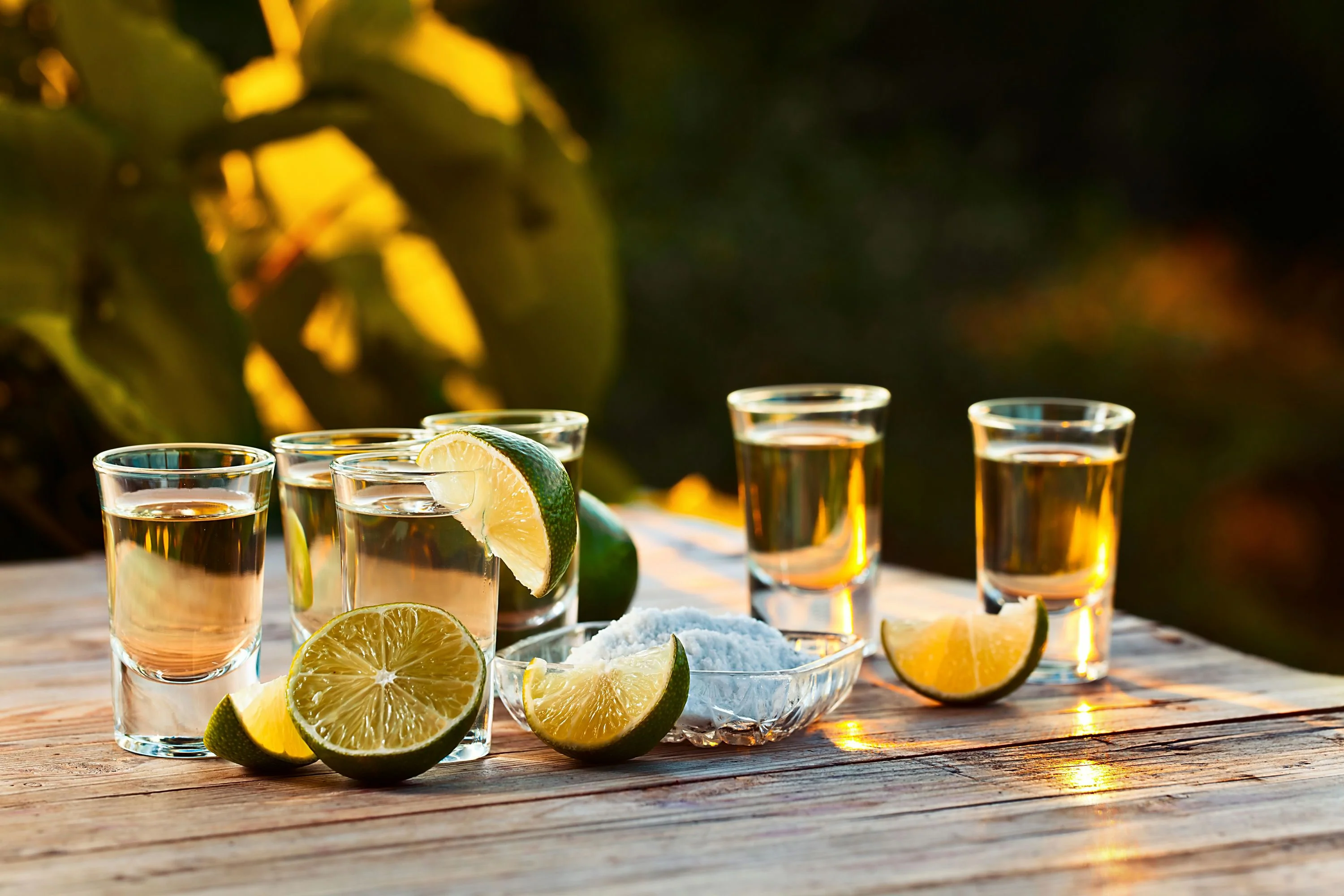 Los Angeles Tequila Tasting Workshop - Image 3